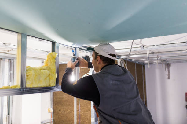 Best Soundproof Insulation Installation  in Madison Lake, MN